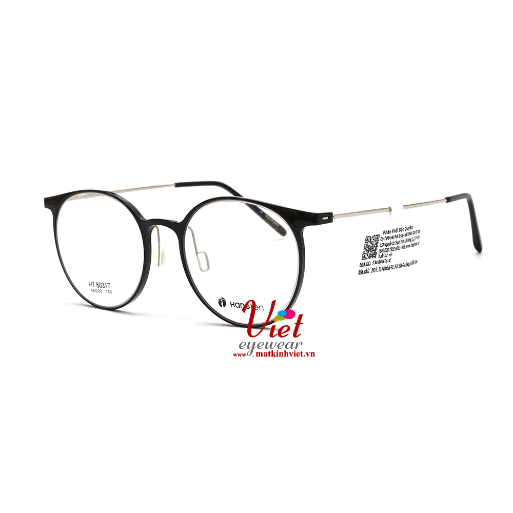 Gọng kính HANGTEN HT80317 C2
